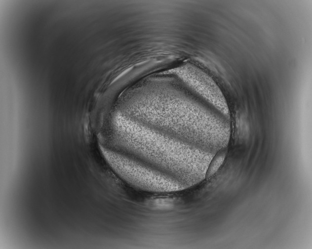 X0000095940228200802011048