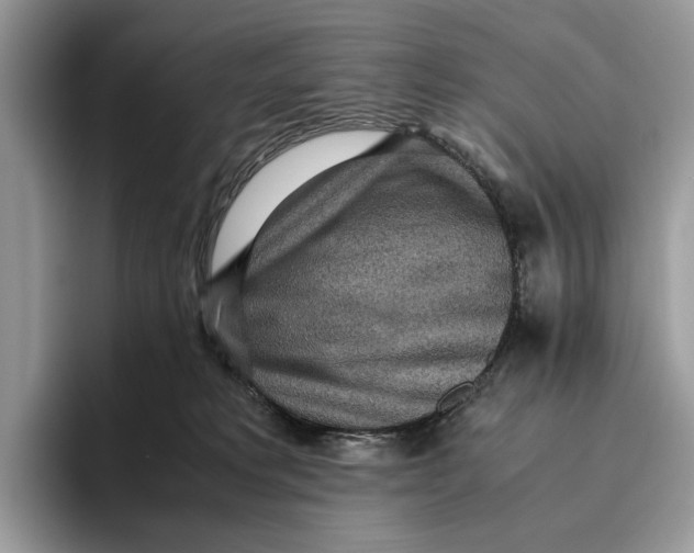 X0000095940229200802011048