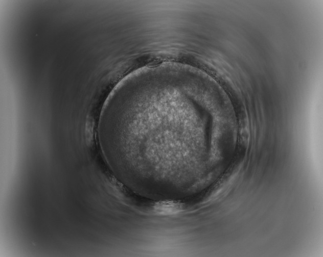 X0000095940231200802011048