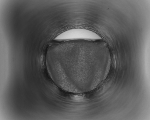 X0000095940232200802011048