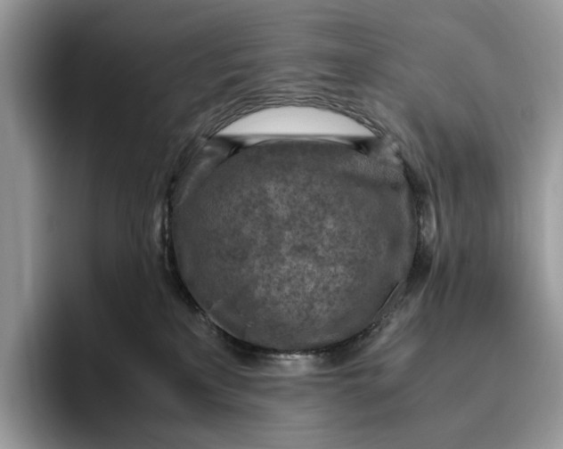 X0000095940233200802011048