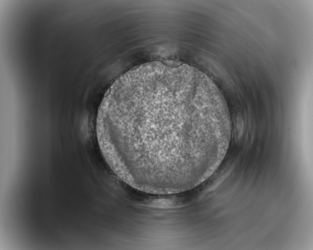 X0000095940236200802011048