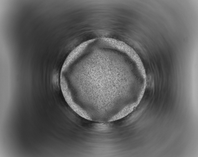 X0000095940238200802011048