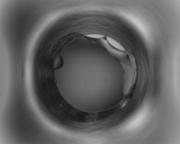 X0000095940239200802011048