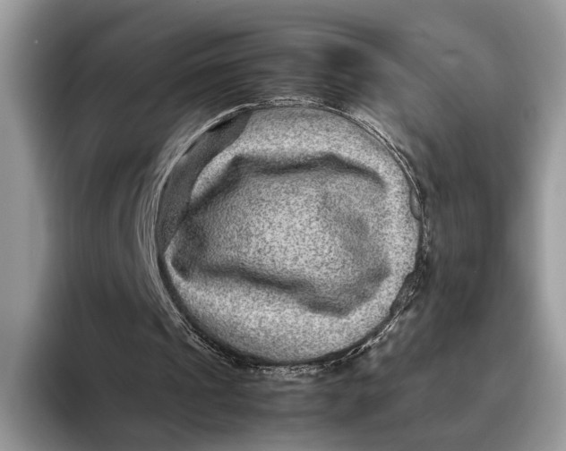 X0000095940241200802011047