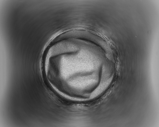 X0000095940244200802011047