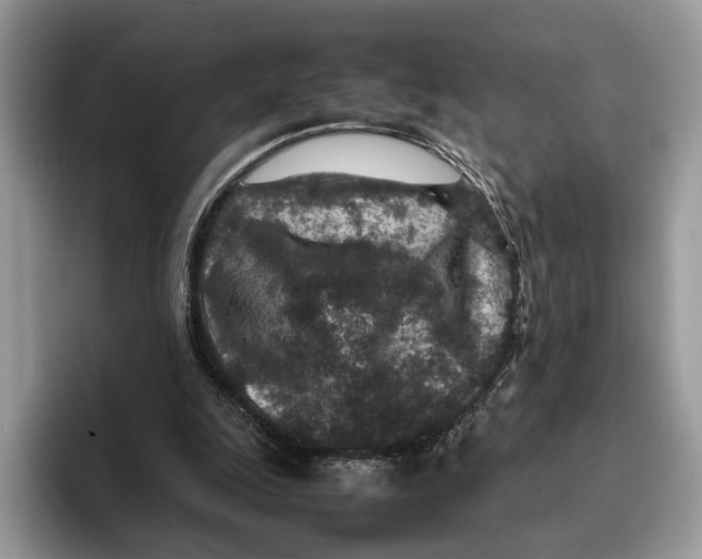 X0000095940247200802011047