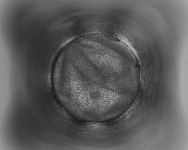 X0000095940249200802011047