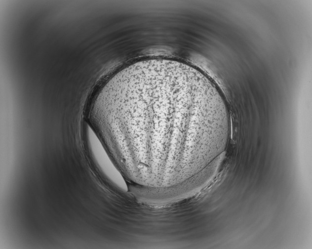 X0000095940253200802011047