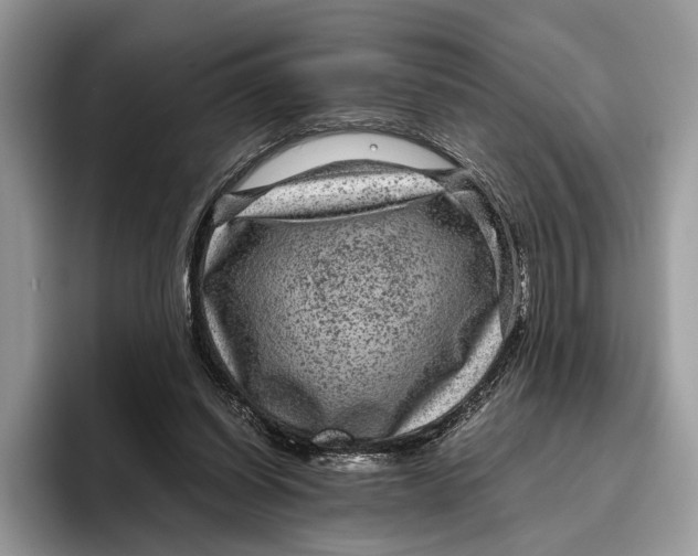 X0000095940254200802011047