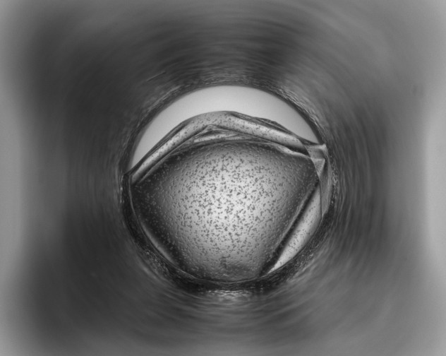 X0000095940255200802011047