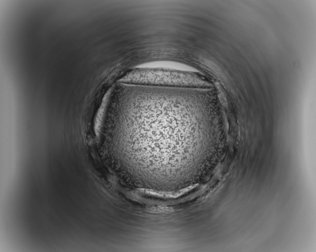 X0000095940258200802011047