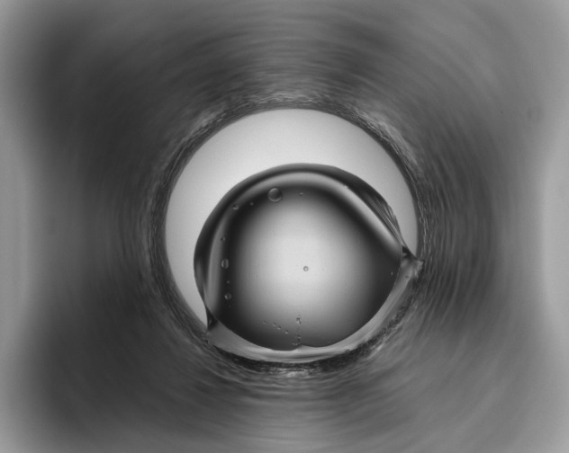 X0000095940260200802011047