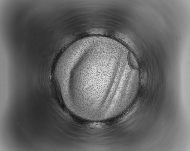 X0000095940261200802011047