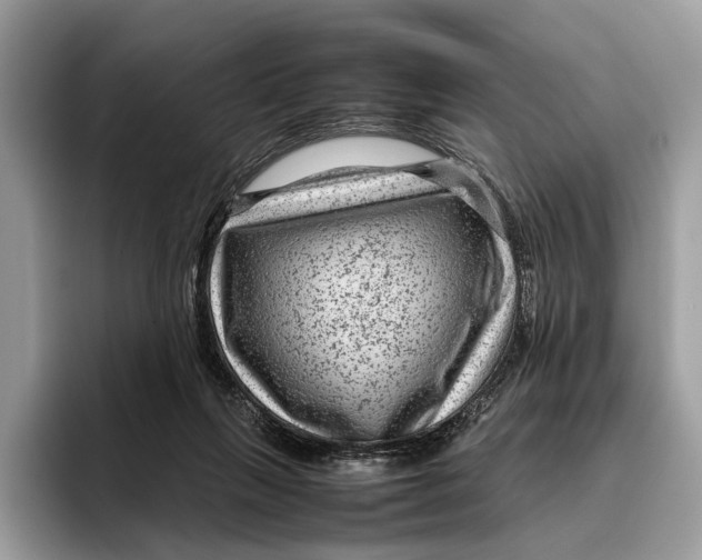 X0000095940263200802011047