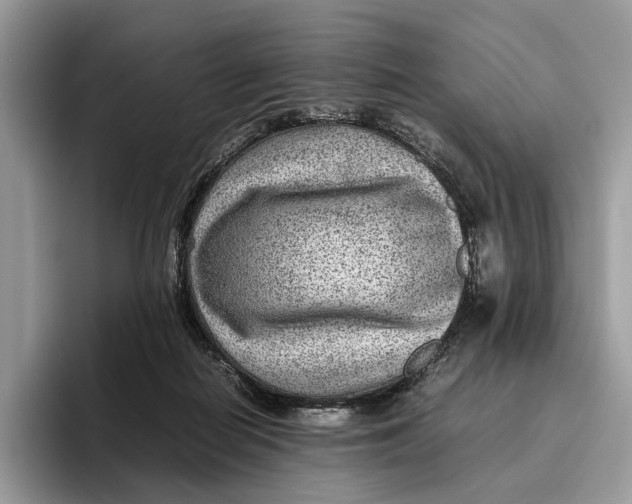 X0000095940266200802011047