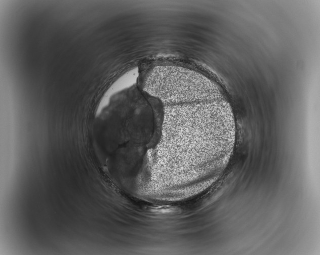 X0000095940269200802011047