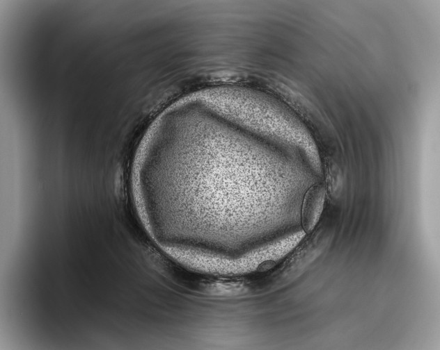 X0000095940270200802011047