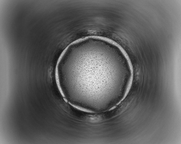 X0000095940275200802011047