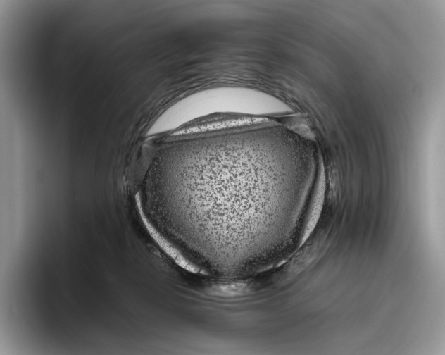 X0000095940278200802011047