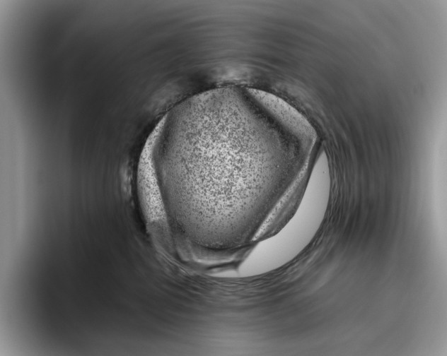 X0000095940282200802011047