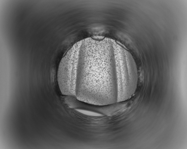 X0000095940283200802011047