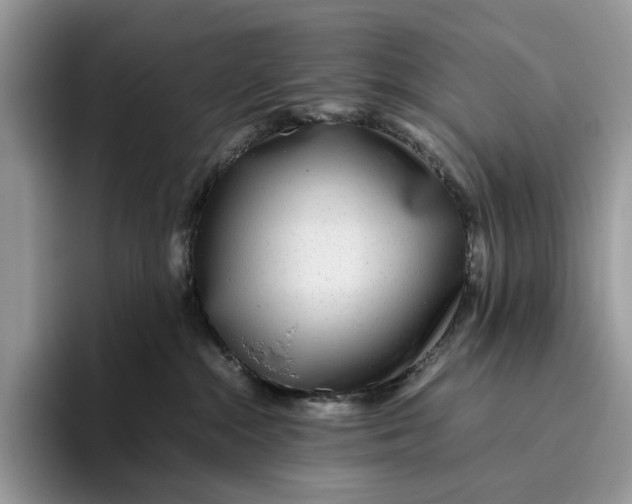 X0000095940284200802011048