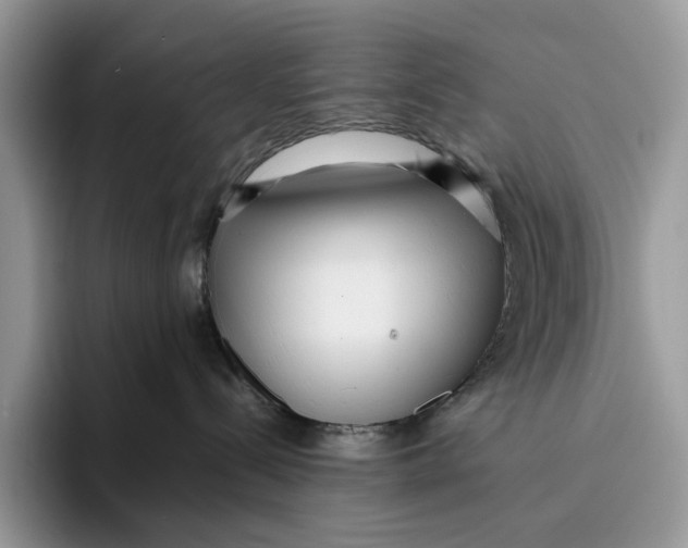 X0000095940288200802011048