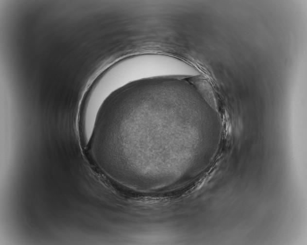 X0000095940292200802011047