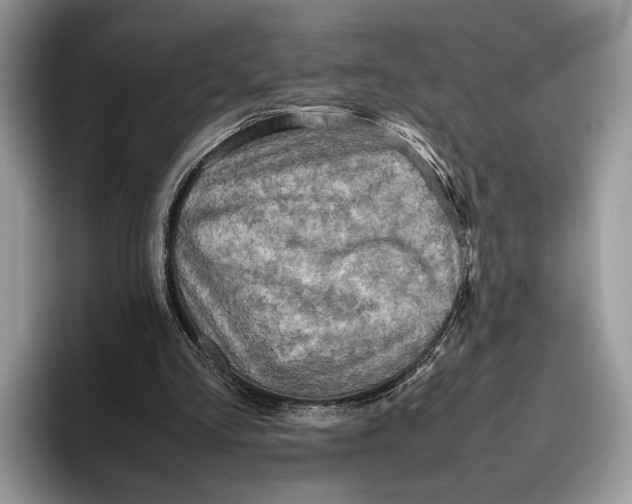 X0000095940293200802011047