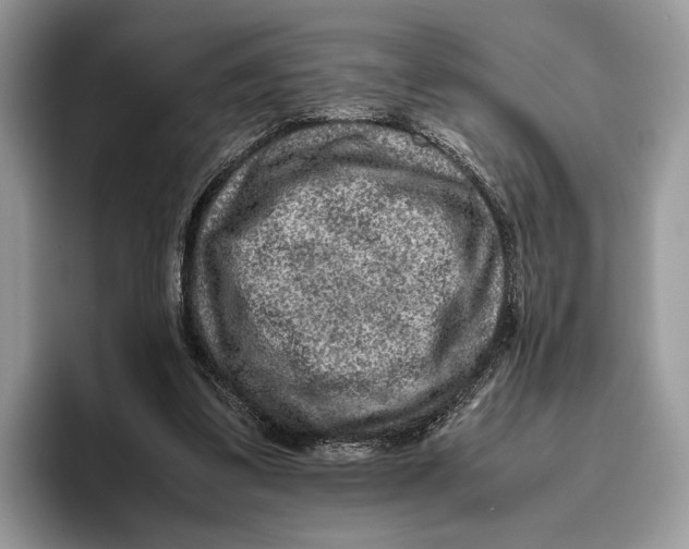 X0000095940299200802011047