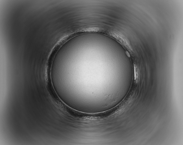 X0000095940300200802011047