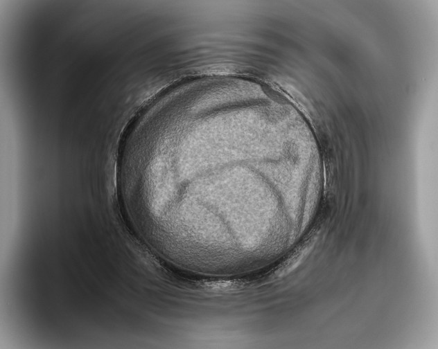 X0000095940301200802011047