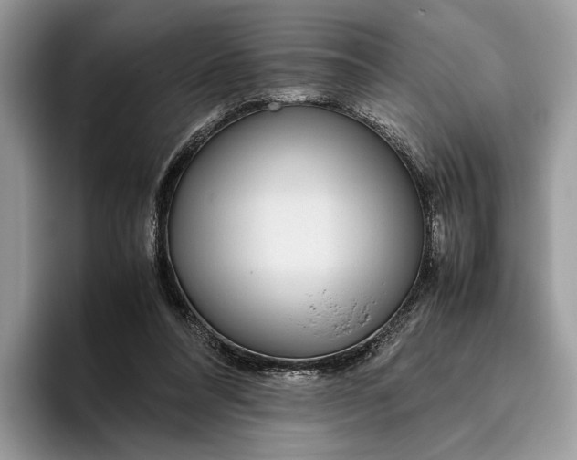 X0000095940304200802011047