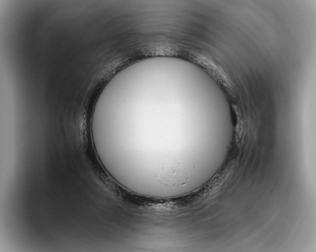 X0000095940306200802011047