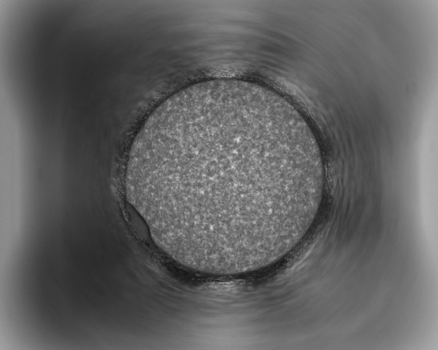 X0000095940307200802011047