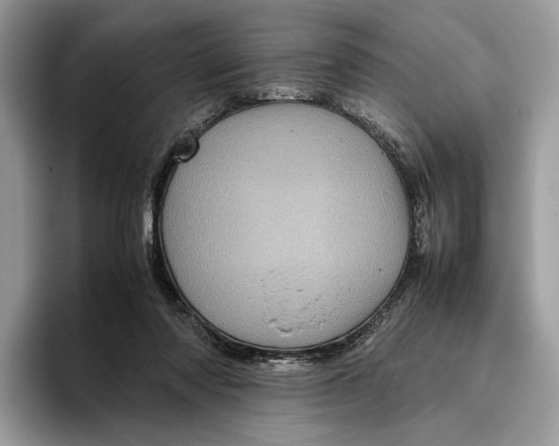 X0000095940310200802011047