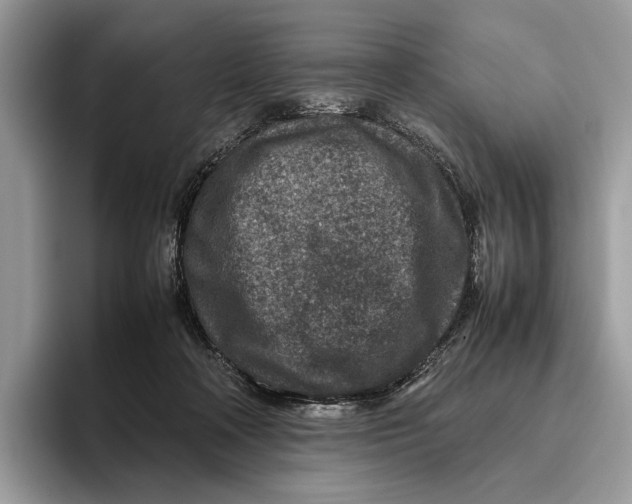 X0000095940314200802011047