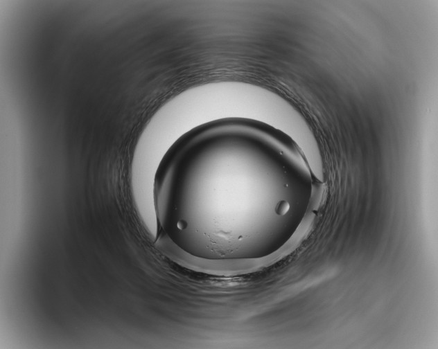 X0000095940316200802011047