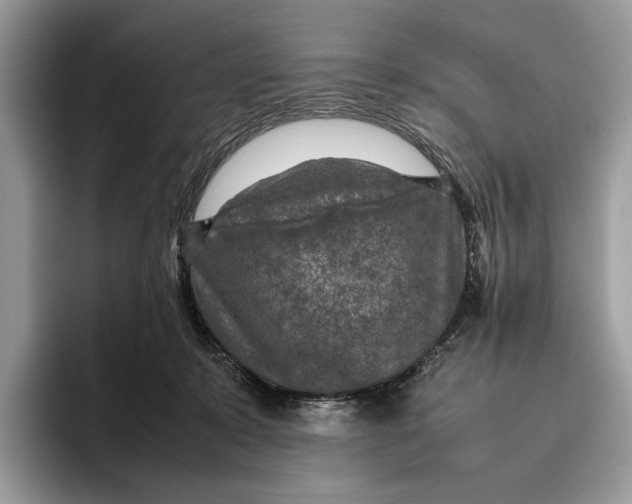 X0000095940319200802011047