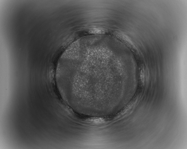 X0000095940322200802011047