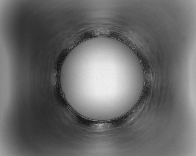 X0000095940323200802011046