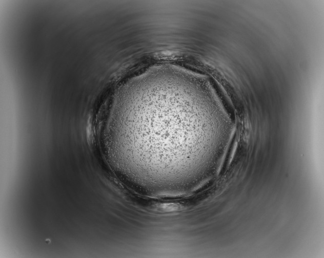 X0000095940324200802011046