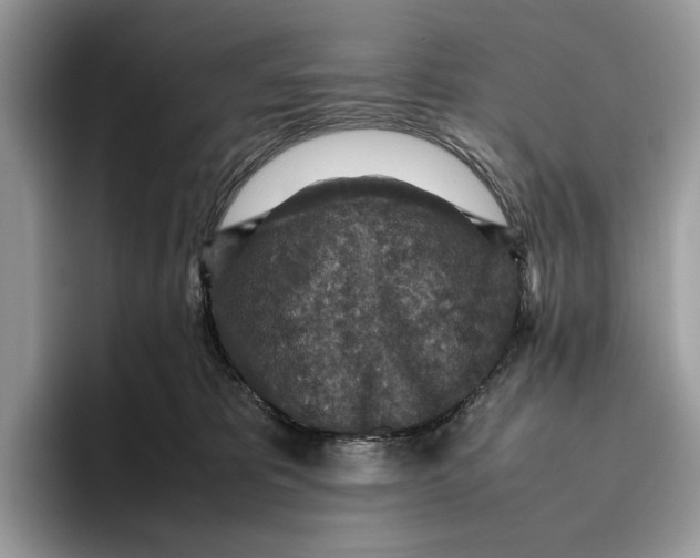 X0000095940325200802011046