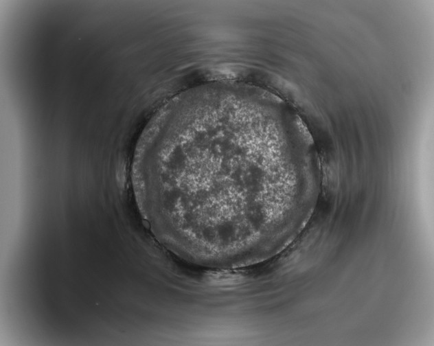 X0000095940331200802011046