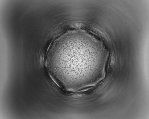 X0000095940332200802011046