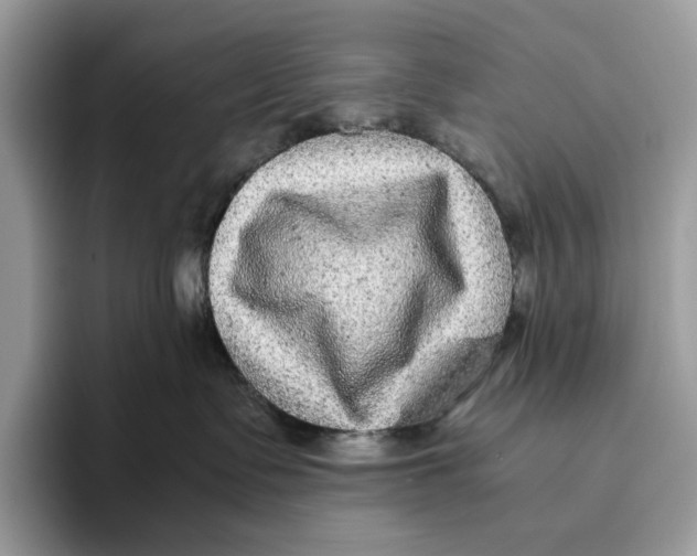 X0000095940335200802011046