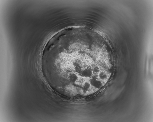 X0000095940337200802011046