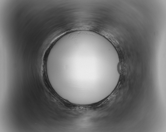 X0000095940338200802011046