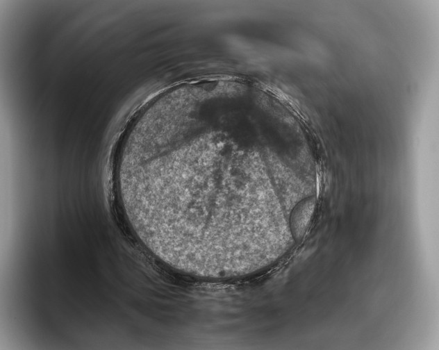 X0000095940339200802011046